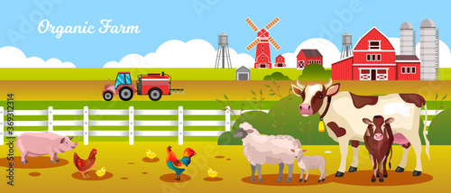 Organic farm vector illustration with cow, sheep, lamb, chicken, rooster, pig, tractor. Agriculture rural landscape in flat style with mill, farming animals, barn, calf for organic products shops