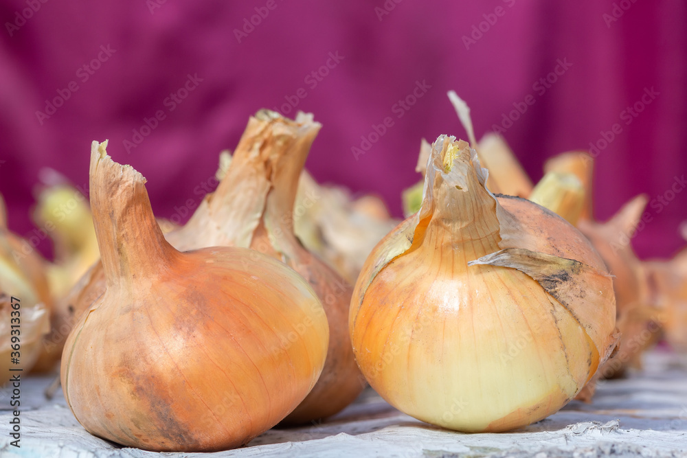 onion on the table