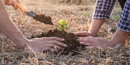Hand of people helping plant the seedlings tree to preserve natural
