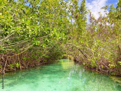 Sian Ka an  Laguna de Muyil  Laguna Chunyaxch  