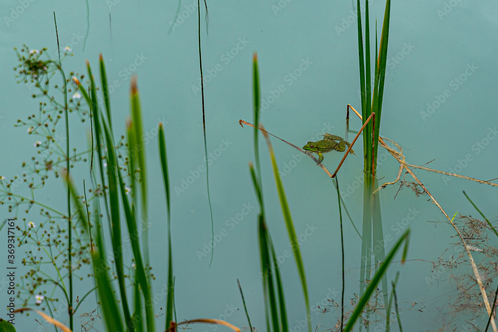 Obraz premium blue lake