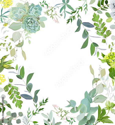 Herbal mix square vector frame. Hand painted plants, branches, leaves, succulents and flowers on white background