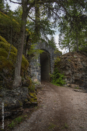 Fototapeta Naklejka Na Ścianę i Meble -  Hiking trail thru tunnel in Glacier National Park