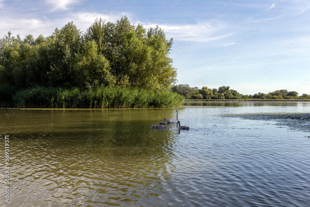 Lake Tisza at Poroszlo
