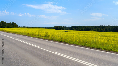 A paved highway, a field with a blooming yellow surepka, a green forest, a tractor and a blue sky with white clouds. On a Sunny summer day.  Agricultural work in the field, pollination. Landscape.