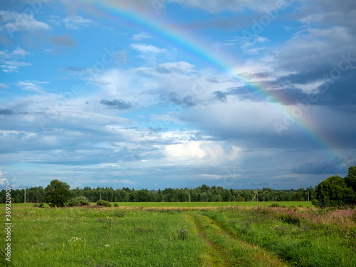 rainbow over green field © ANTON