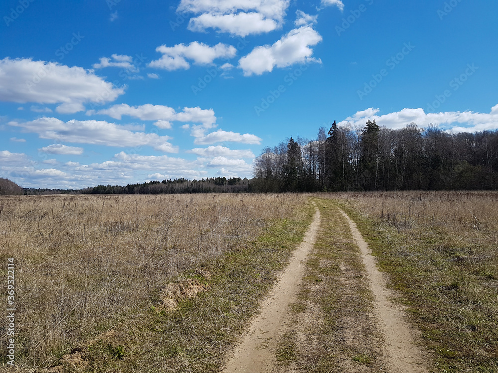 Country road through field of dry grass with dark forest on horizon and blue sky with white clouds in spring time