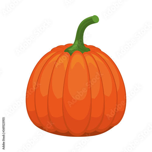 pumpkin healthy vegetable isolated style icon