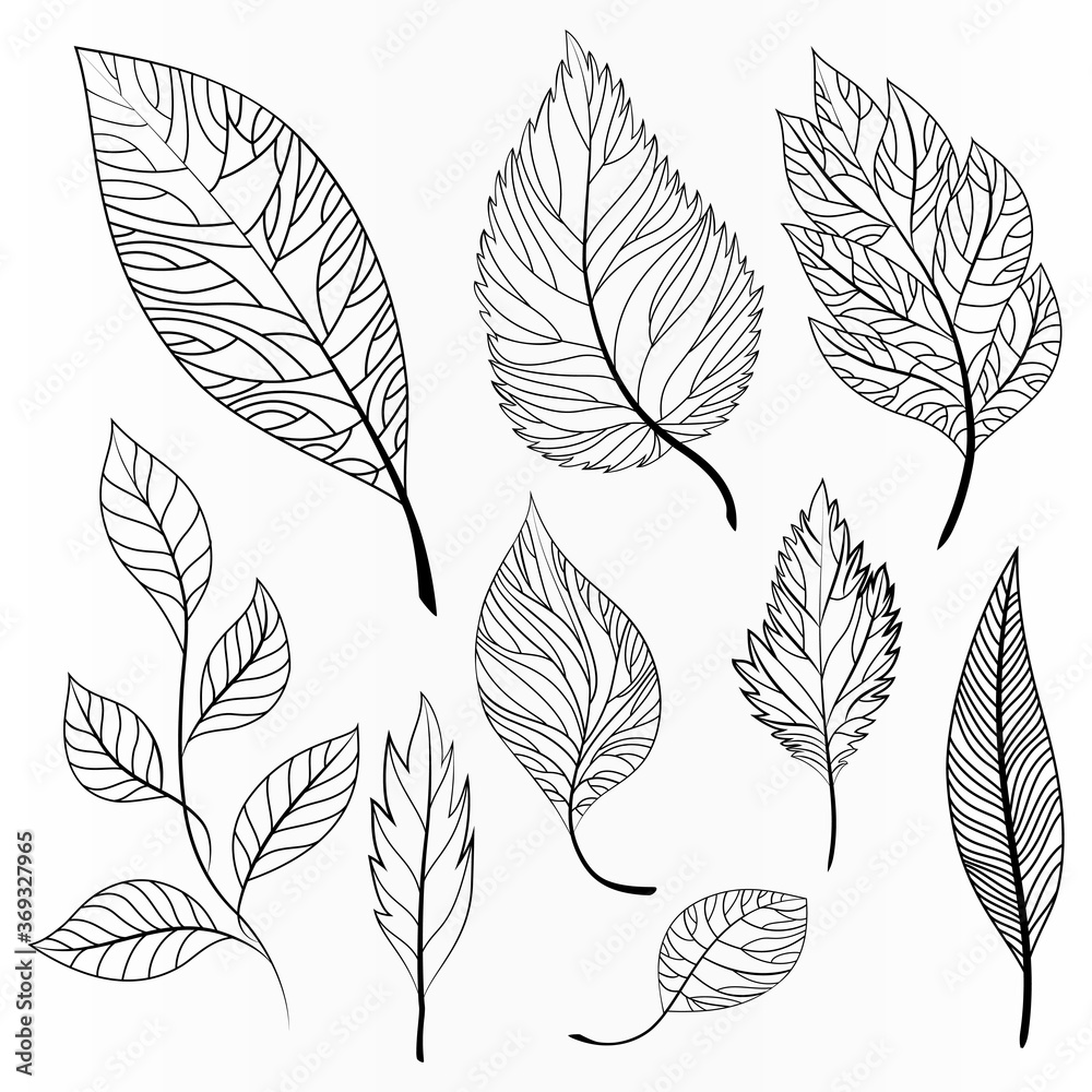 set of leaf silhouettes