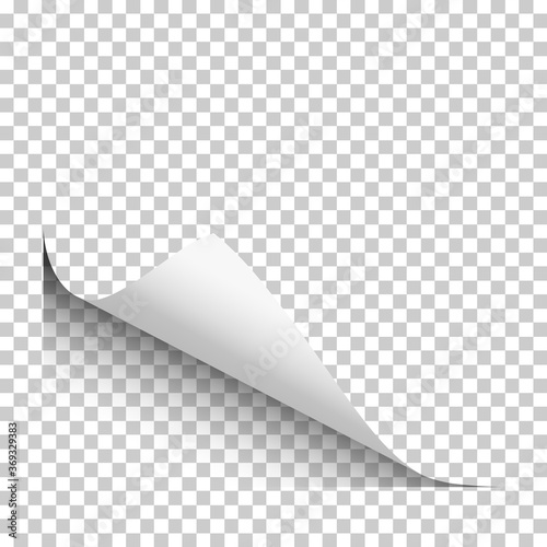 Vector page with lower left curl with shadow on blank transparent sheet of paper