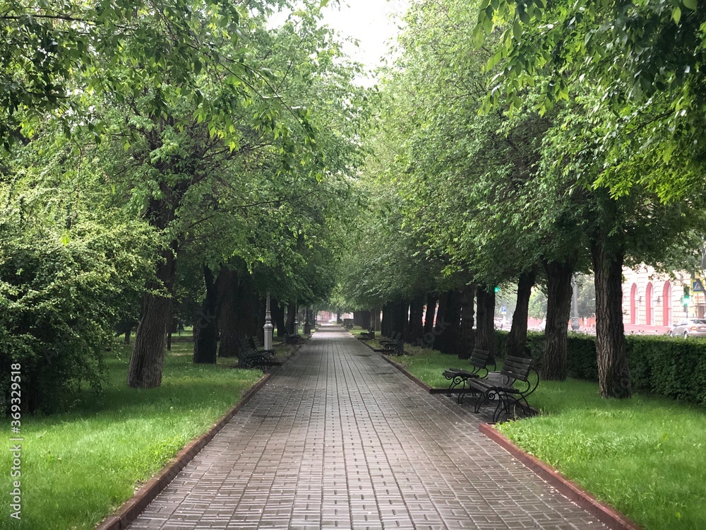 path in the park