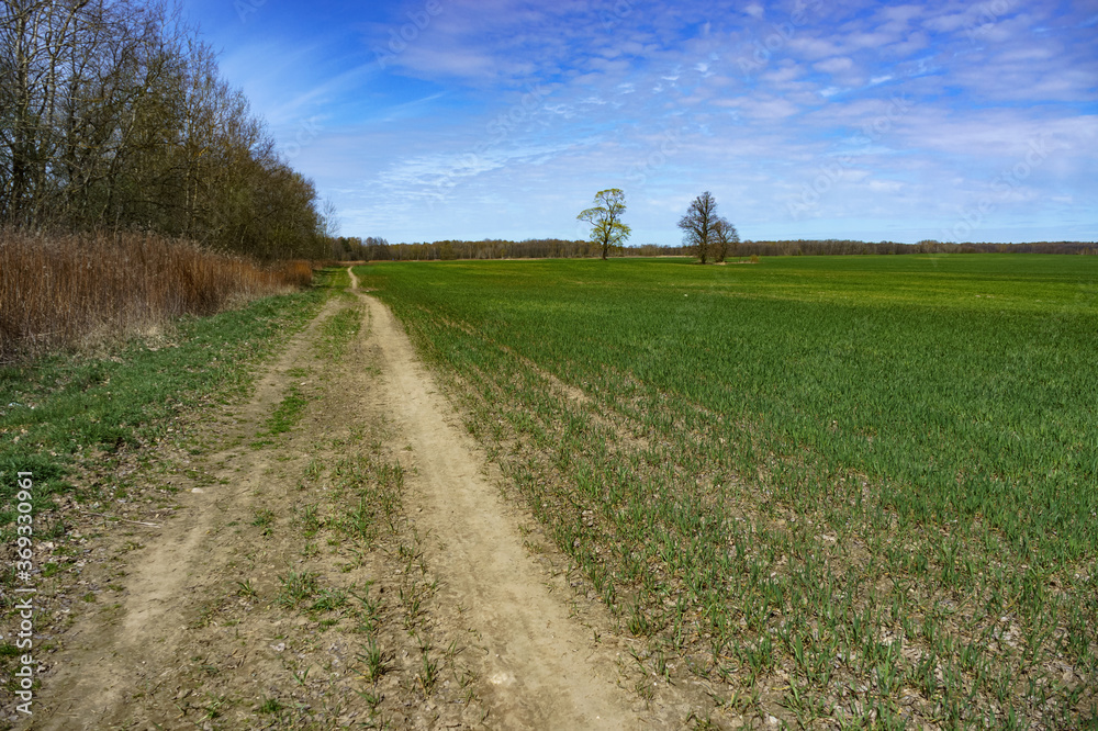 A long road in an arable field. Farmland. A beautiful field road A long road in an arable field. Farmland. A beautiful field road