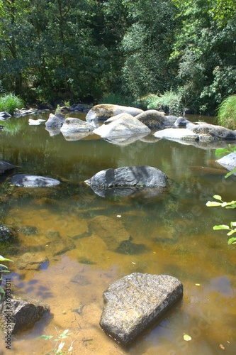 paysage de rivière , nature et gros rochers dans la nature en été