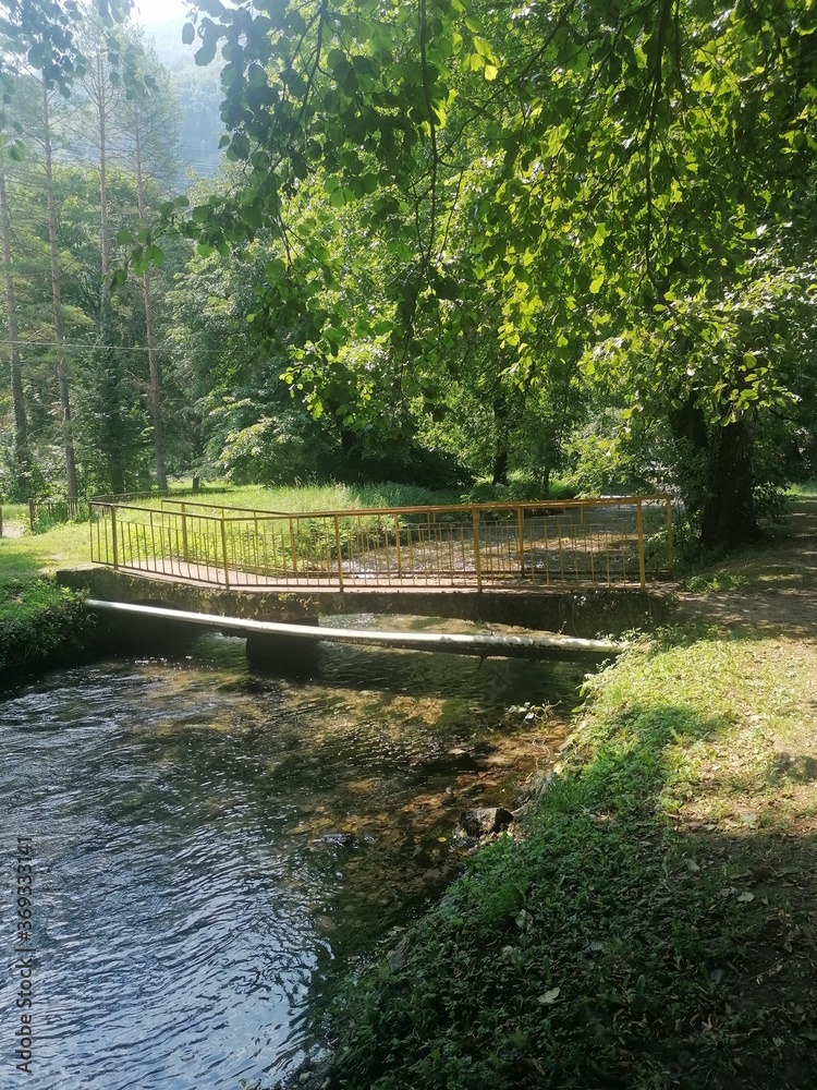 bridge in the park bridge in the park