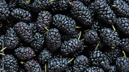 Black mulberry with petioles, top view.