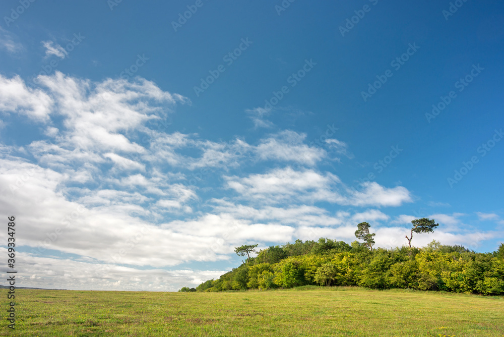 Wiltshire landscape with trees and big sky,England,United Kingdom.