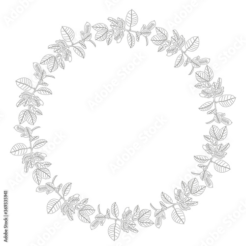Black and white circle of home plants isolated on white background