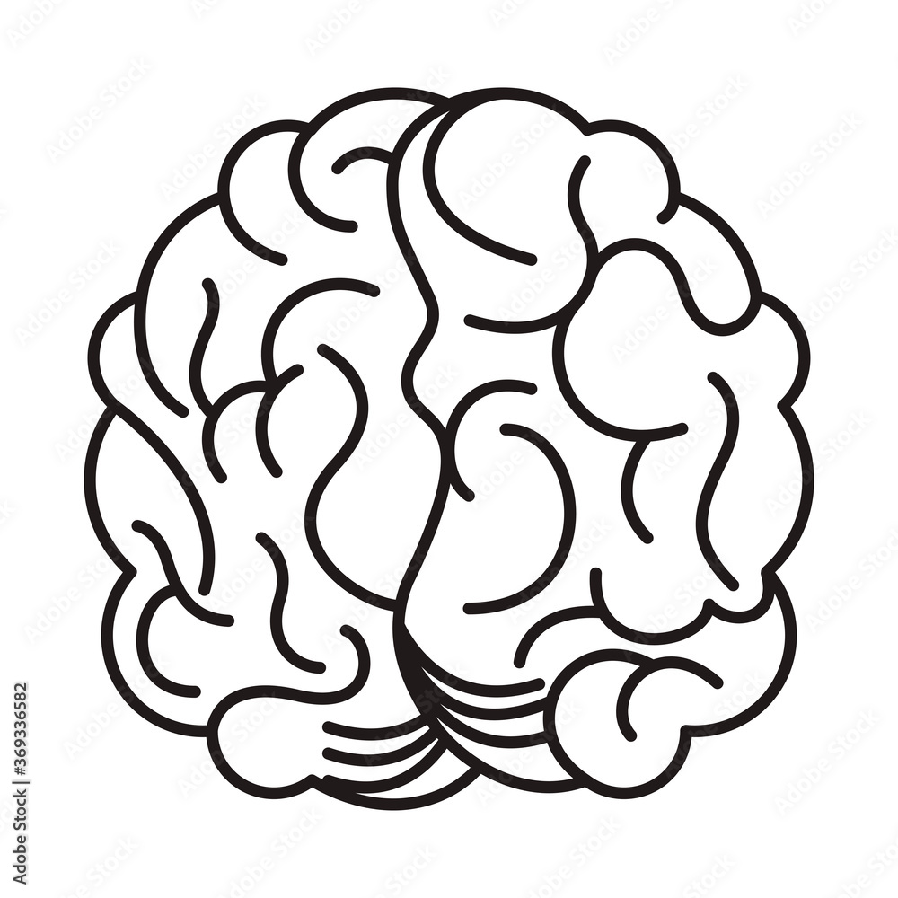 brain human organ isolated icon
