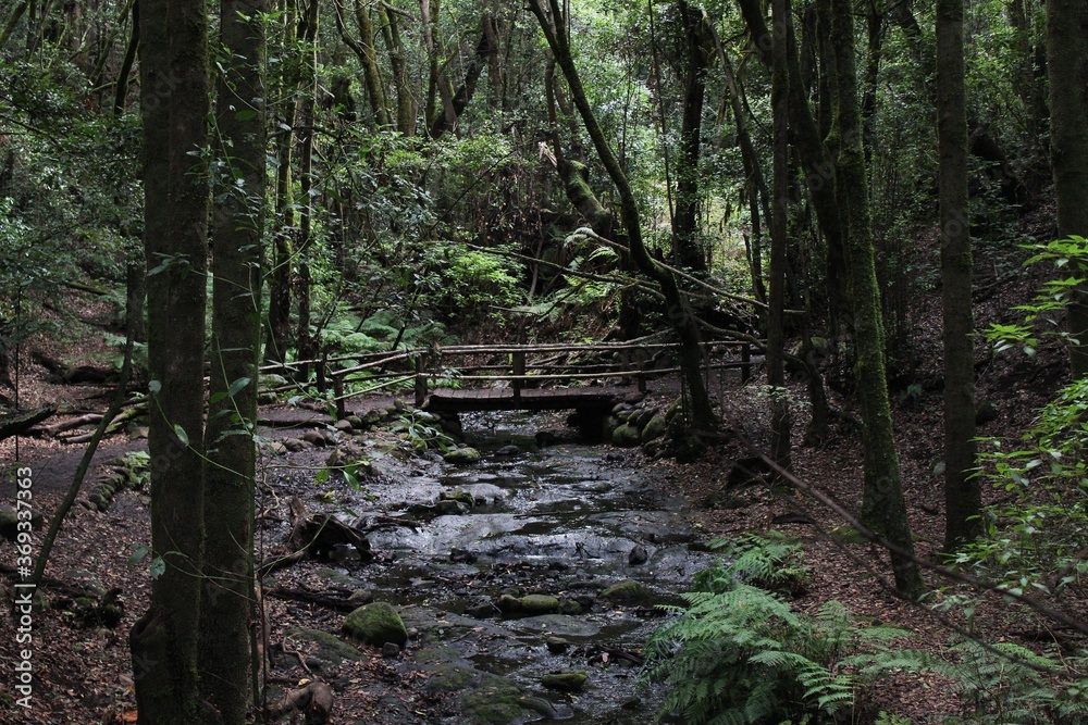 Fototapeta premium old wooden bridge