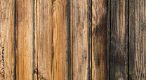 Burnt wooden clapboard texture for background.