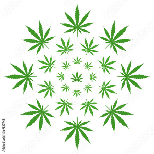 illustration of green cannabis leaves in a circle on a white background