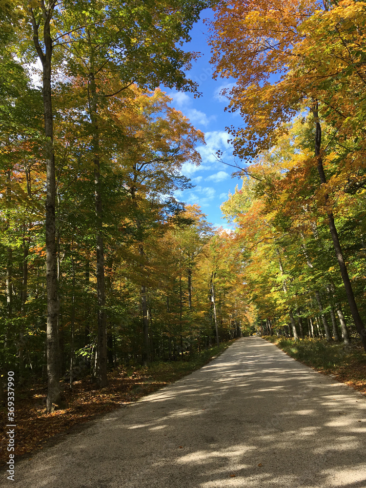 A beautiful Autumn Day down an Empty Country Road. A beautiful Autumn Day down an Empty Country Road.