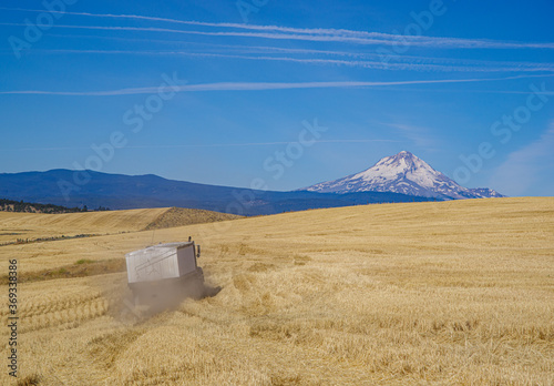 Foto A truckload of harvested wheat heading to the grain elevator in Dufur, Oregon
