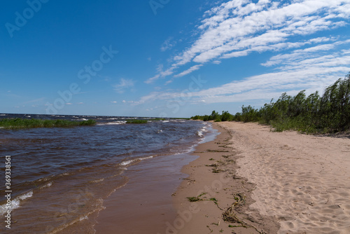 Windy day on the shores of Lake Ladoga. National reserve Kokkorevo. Leningrad region  Russia