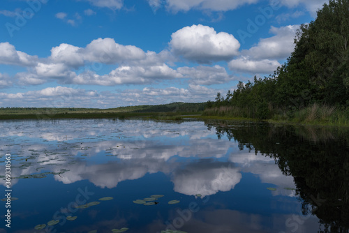 Cloud reflection in Okhotnichye (Hunters) Lake. Eco route in the "Rakovyye ozera" (Crayfish lakes) nature reserve, Leningrad region, Russia