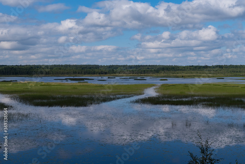 Cloud reflection in Okhotnichye  Hunters  Lake. Eco route in the  Rakovyye ozera   Crayfish lakes  nature reserve  Leningrad region  Russia