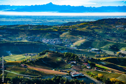 Autumnal aerial view of the Cuneo langhe, in the center the village of Barolo in the background the chain of the alps with the Monviso in the center