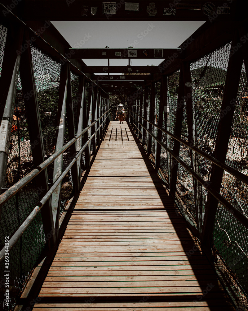 Fototapeta premium Tunnel Bridge