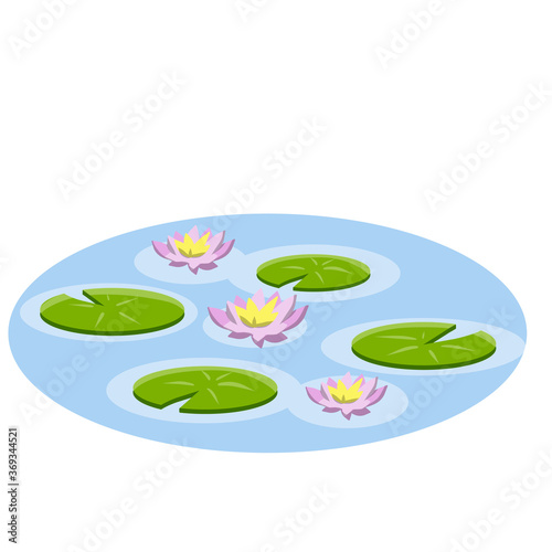 Nenuphars. Water lily. Big green leaf. Element of nature, forest and wild life. Swamp Pink flowers or lotus. Flat cartoon. Plant on lake and blue pond