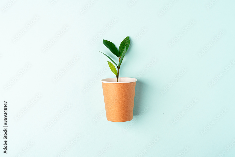 Craft paper coffee cup with green leaves sprout top view. Flat lay Zero waste, eco friendly, natural organic plastic free concept. Earth, biodegradable with copy space on mint background Craft paper coffee cup with green leaves sprout top view. Flat lay Zero waste, eco friendly, natural organic plastic free concept. Earth, biodegradable with copy space on mint background