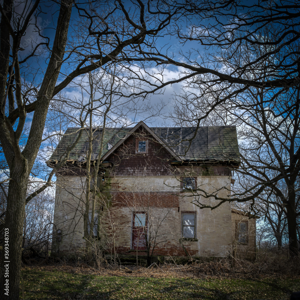 Dead Trees and Old Abandoned Houses add a scary vibe Dead Trees and Old Abandoned Houses add a scary vibe