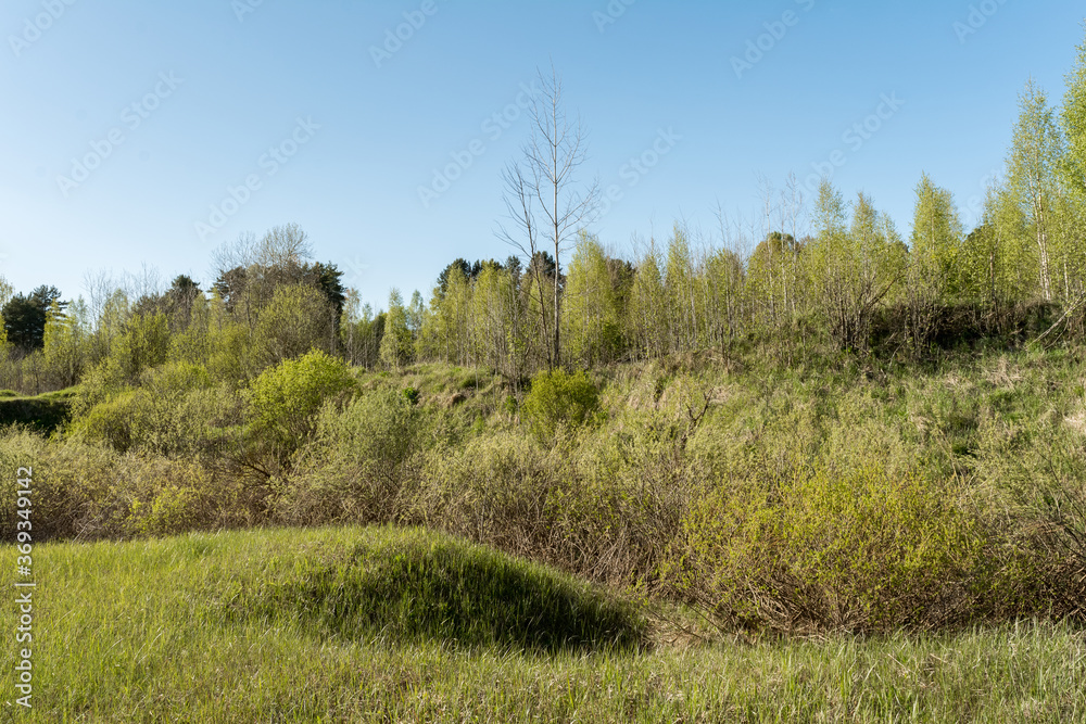 Obraz premium Hills and lowlands of European nature. Dense thickets of trees and bushes. Wildlife forest landscape on summer sunny day