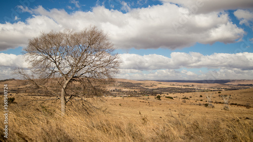 Beautiful landscape of autumn  winter savanna in South Africa