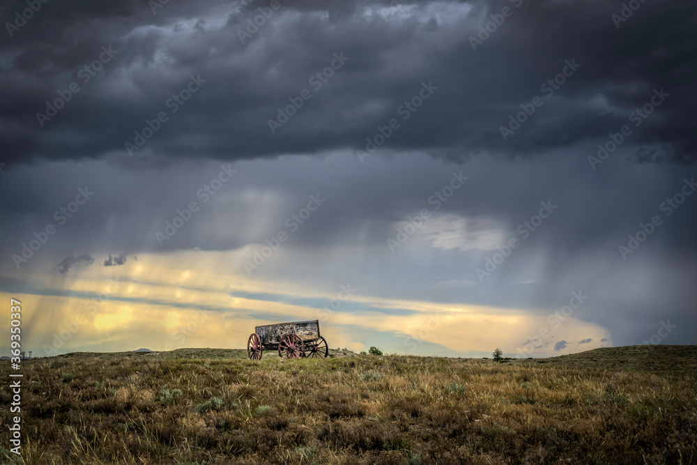 Obraz premium Old buckboard wagons in a field in the Great Western US