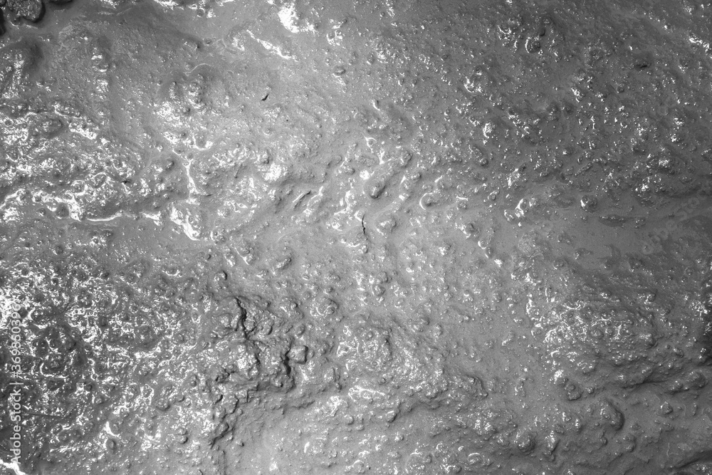 Mud texture or wet gray soil as natural background. Mud texture or wet gray soil as natural background.