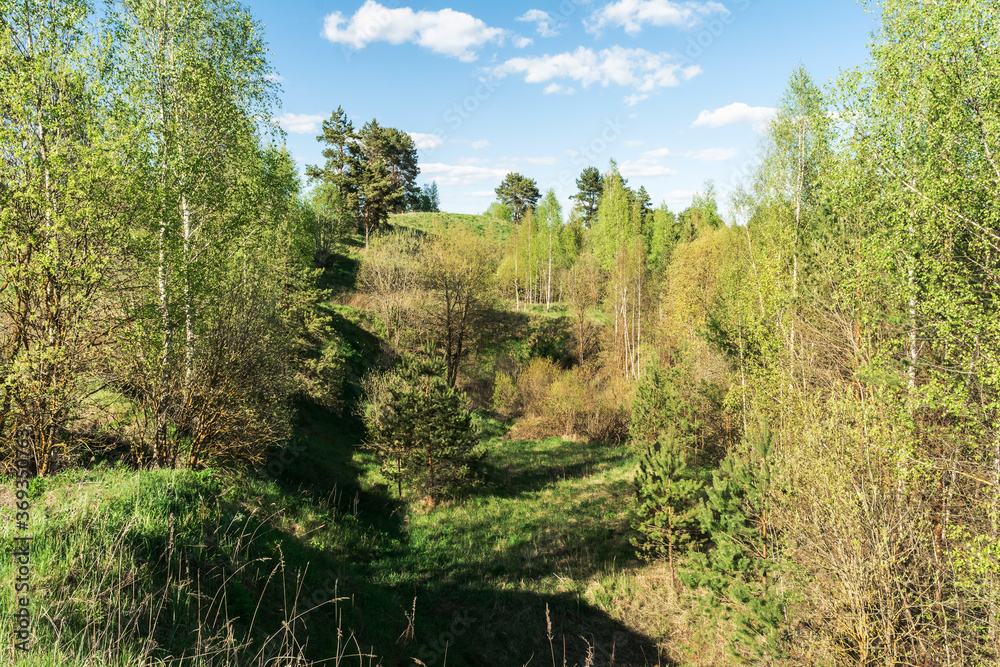 Hills and lowlands of European nature. Dense thickets of trees and bushes. Wildlife forest landscape on summer sunny day Hills and lowlands of European nature. Dense thickets of trees and bushes. Wildlife forest landscape on summer sunny day