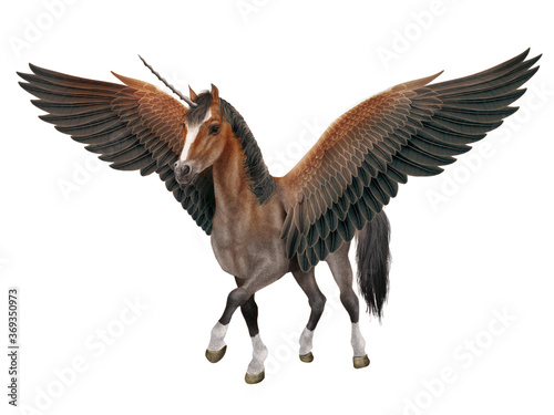 illustration, cheval, licorne, volant, ailes, vol, gris, beau, nature, animal, faune, fantastique, sauvage, liberté