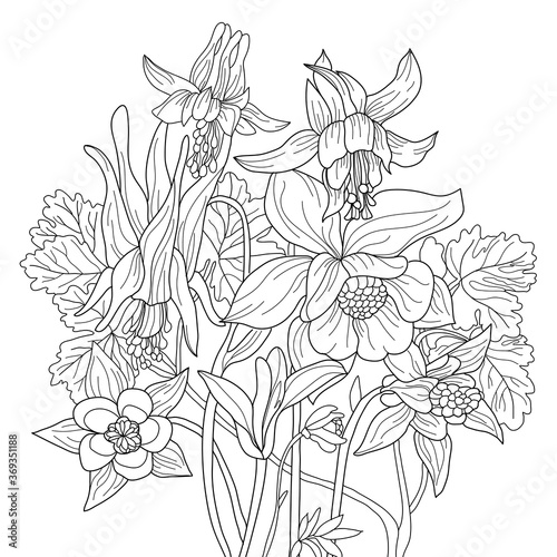 Vector illustration with flowers. Colouring page. Garden print. Monochrome line drawing. Flower, floral painting. Graphic line art 