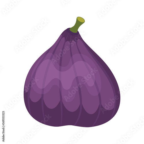 whole fig fruit isolated on white background