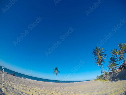 blue sky beach sand ocean sea coconut tree