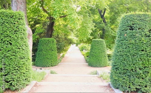camino rodeado de verde vegetación y árboles en el jardín, parque, zona verde, invernadero, setos, 