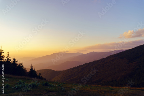 Mountain landscape in sunrise or sunset - Foggy image of hills covered with forest and sky - freedom nature tourist destination concept - stara planina Old Mountain in Serbia
