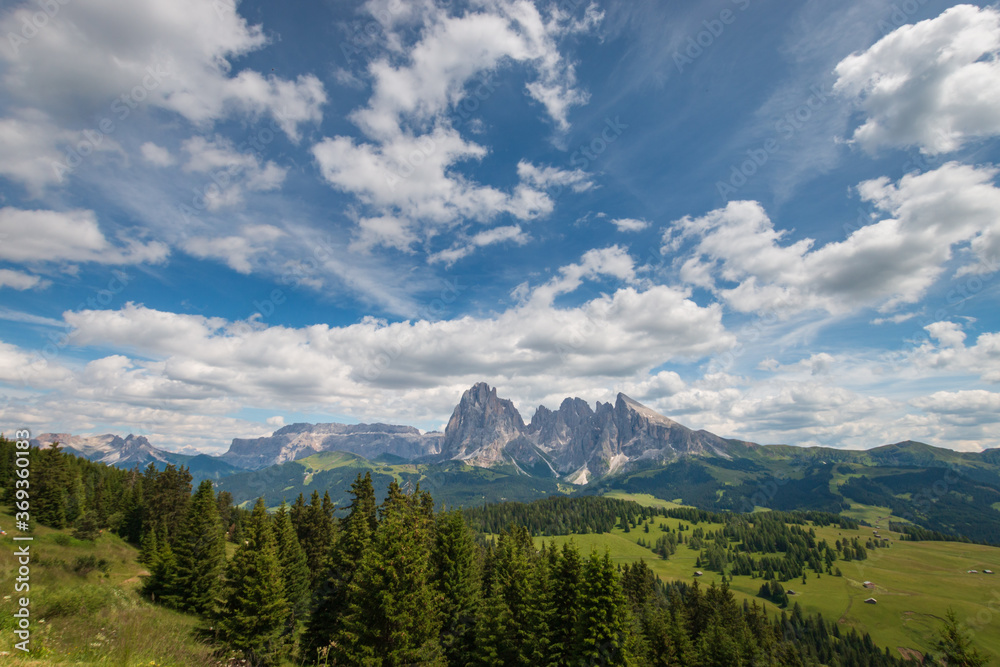 Alpe di Siusi - Seiser Alm with Sassolungo - Langkofel mountain group in front of blue sky with clouds.