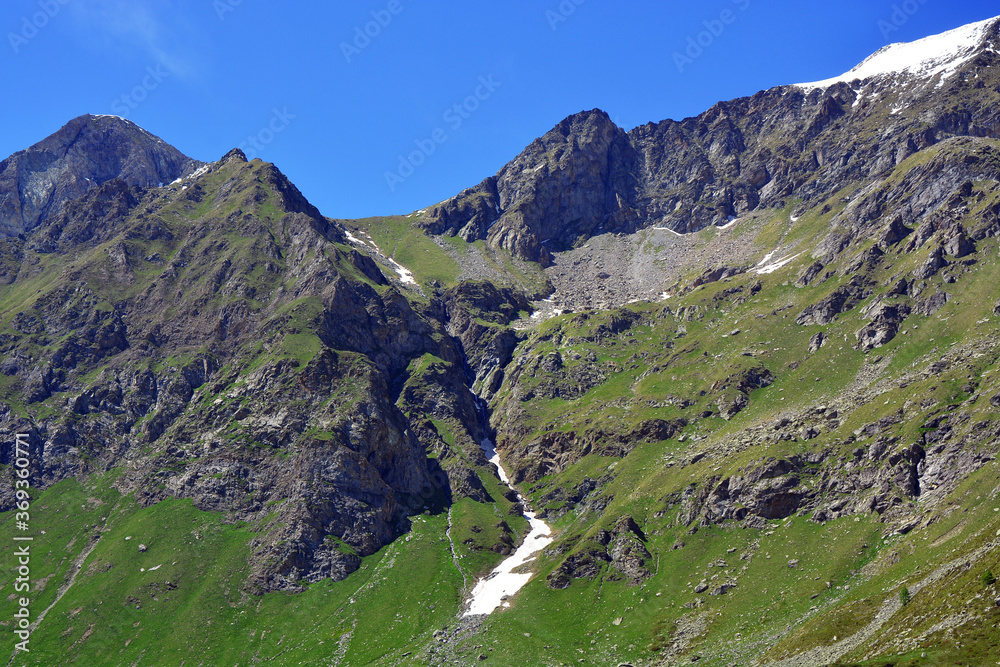 Fototapeta premium The alpine scenic landscapes of mountains, meadows and flowers at Dondena, Aosta Valley, Italy in the natural reserve of Mount Avic.