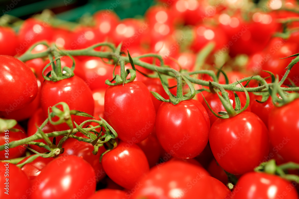 cherry tomatoes on vine in a supermarket cherry tomatoes on vine in a supermarket