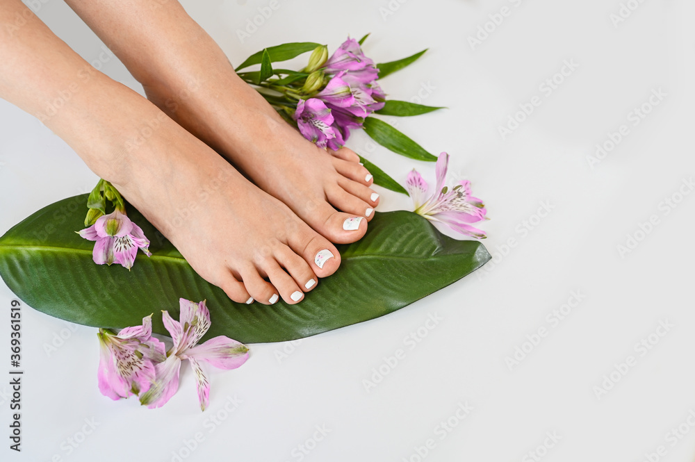 Beautiful perfect female skin legs feet top view with tropical flowers and green palm leaf. Nail polish, care and clean, spa pedicure treatment in white. Concept on background isolated. Copy space